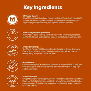 L'Evate You Vitality Daily Greens Powder 30 Superfoods, 9 Greens - for a Cellular Energy Boost (28 Servings)