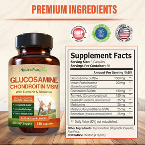 Glucosamine Chondroitin MSM with Turmeric & Boswellia Supplement | Joint Support Supplement Glucosamine Sulfate 1500Mg | 180 Capsules
