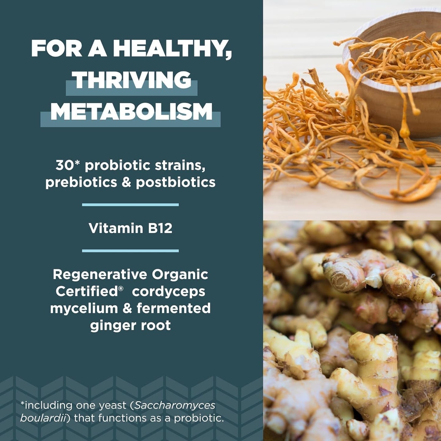 Ancient Nutrition Regenerative Organic Certified Probiotics for Metabolism Support, 60 Count