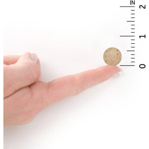 Garden of Life Dr Formulated Digestive Enzymes 90 Chewables