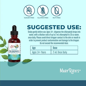 Maryruth Organics Chlorophyll Liquid Drops, Mulberry Derived Supplement for Ages 14+ Minty Flavor, 2 Fl Oz