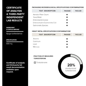 Turkesterone Supplement for Men - Ultra High Potency 50:1 Extract with 20% Turkesterone - 60 Capsules