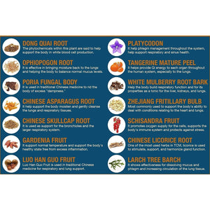 Healthy Lungs - Improve Lung Function, Breathe Better, Stop Mucus, Phlegm and Allergies Quickly 120 Capsules.