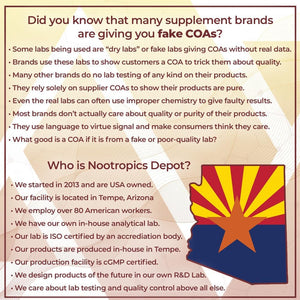 Nootropics Depot Apigenin Capsules| Supports Healthy Stress Levels (120 Count/200Mg )