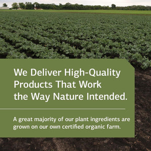 Standard Process Inc. Min-Chex - Whole Food Nervous System Supplement, 90 Capsules