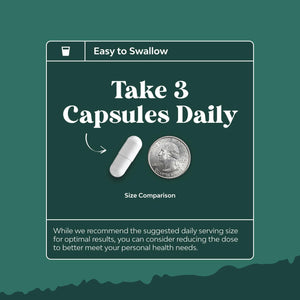 Digestive Enzymes with Ox Bile Supplement - Purified Ox Bile Salts for No Gallbladder & Pancreas Cleanse, Detox & Repair - (1 Month Supply)