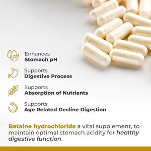 Premier Research Labs Premier HCL - for Optimal Digestive Function, Nutrient Absorption 90 Vegetarian Capsules