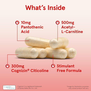 Jarrow Formulas Neuro Optimizer with 7 Neuro-Nutrient Ingredients for Brain Health and Antioxidant Support, 120 Capsules