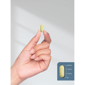 Horbäach Glucosamine Chondroitin MSM | Advanced Formula with Turmeric (3600 Mg/360 Caplets )