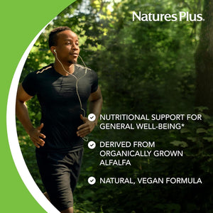 Natures plus Chlorophyll Complex - 90 Vegetarian Capsules - Nutritional Support for General Well-Being
