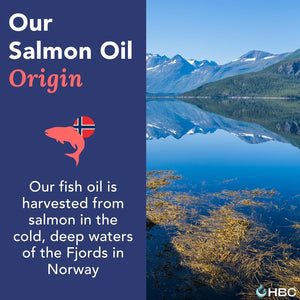 High Strength Omega 3 Fish Oil with Vitamin K2-1000Mg for Eyes, Brain, Heart & Immunity - 90 Capsules