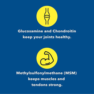 Healthy Joint System Glucosamine Chondroitin MSM Supplement for Joint & Bone Health - 240 Capsules