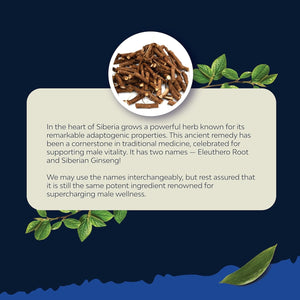 Potent Black Maca Root Capsules for Men to Support General Health (30 Servings)