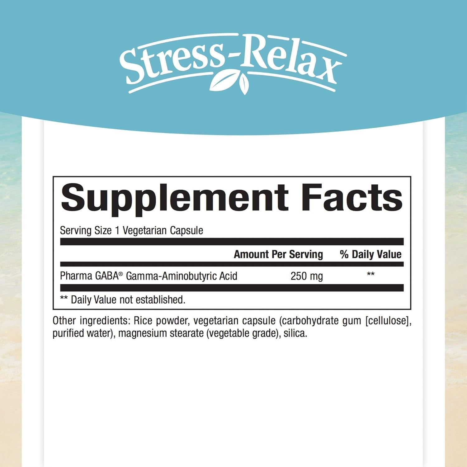 Natural Factors Stress-Relax Pharma GABA 250 Mg, Non-Drowsy Stress Support for Relaxation and Mental Focus, 60 Vegetarian Capsules