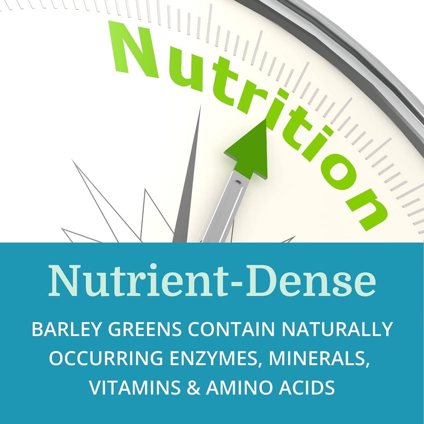 Alka•Green Tablets Best Process Alkaline - Natural Source of Enzymes & Amino Acids