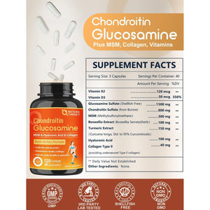 NATURE TARGET Glucosamine Chondroitin Joint Support Supplement - 120 Caps