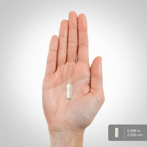 Piping Rock Glucosamine Chondroitin MSM Capsules | Advanced Joint Support by Lindberg 180 Count