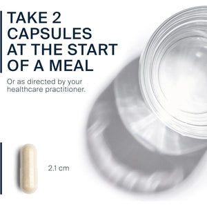 Vital Nutrients Pancreatin & Ox Bile Extract 500Mg | Natural Digestive Enzymes for Women & Men | 60 Capsules