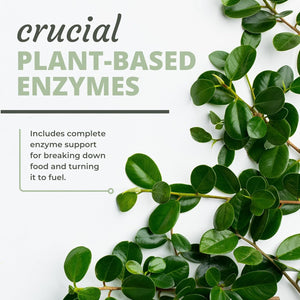 Optimal Health Systems Digest-A-Meal | Bloating, Acid Reflux, & Indigestion Relief + Aloe Vera Leaf - 90 Capsules