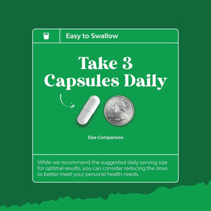 Gallbladder Support Digestive Enzymes with Ox Bile for Gallbladder & Pancreas Cleanse, Detox & Repair - 90 Capsules