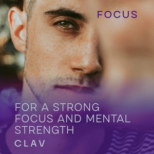 CLAV N°4 Brain Booster - Nootropics Brain Support Supplement for Memory & Focus - 60 Capsules.