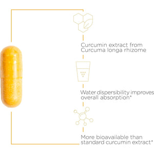 Integrative Therapeutics Theracurmin HP - Relief of Minor Discomfort Due to Occasional Overuse* 120 Capsules