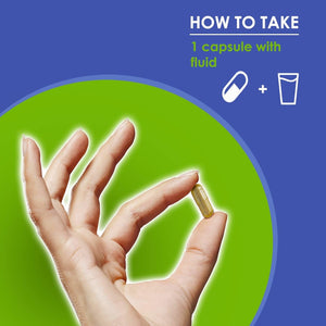 VH Nutrition Ginkgo BILOBA | 550Mg Standardized Extract Supplements | Cognitive and Memory Support* | 60 Capsules