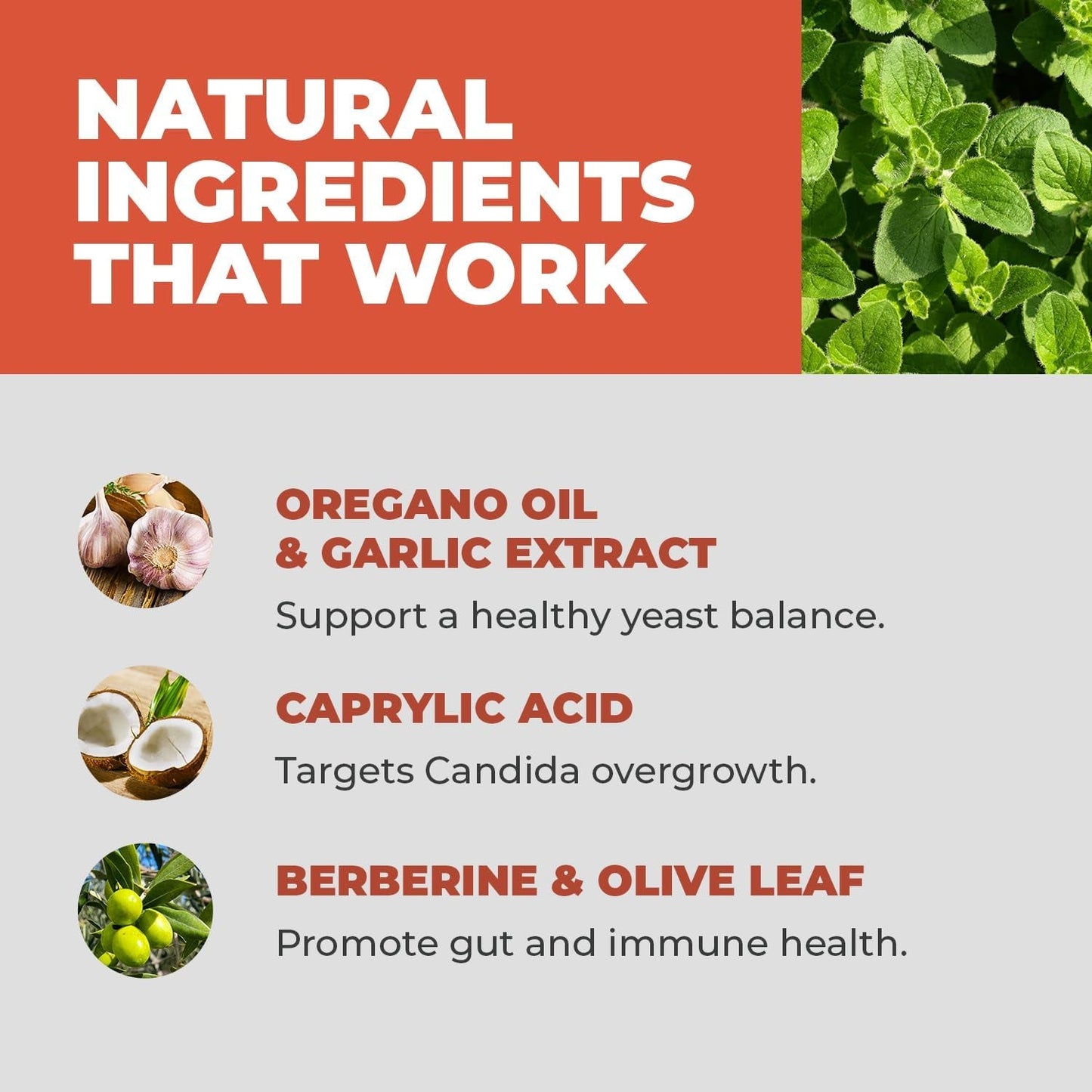 Balance ONE Candida Cleanse with Caprylic Acid, Berberine & Oregano Leaf Extract 1 Month Supply