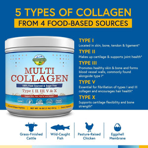 Terranics Multi Collagen Peptides Powder, Type I II III V X Hydrolyzed Collagen for Women+Men, 16Oz