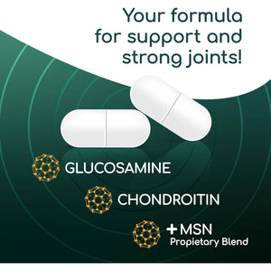 X Ray High Potency Joint Health Supplement, Supports Healthy Joints, Bones & Cartilage - 50 Count