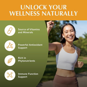 Jiva Botanicals Moringa Leaves Extract Capsules for Immune and Normal Joint Support - 90 Capsules