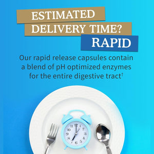 Garden of Life 21 Powerful Digestive Enzymes - Gluten-Free, Vegetarian, 90 Capsules