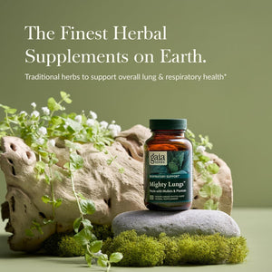 Gaia Herbs Mighty Lungs - Lung Support Supplement to Help Maintain Overall Lung & Respiratory Health (30-Day Supply)