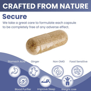 Teami Bloat Banish Fast Gas and Bloating Relief for Women - Debloat Pills to Support Digestion, Ensuring Regularity & Constipation Relief