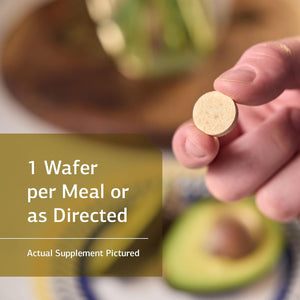 Standard Process Lactic Acid Yeast - Whole Food GI, Digestion and Digestive Health, Saccharomyces Cerevisiae - 100 Wafers