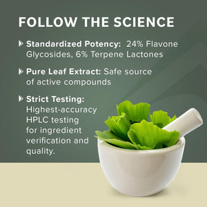 Prominent Nutrition Ginkgo Biloba 120Mg to Help Support Memory & Focus 60 Day Supply