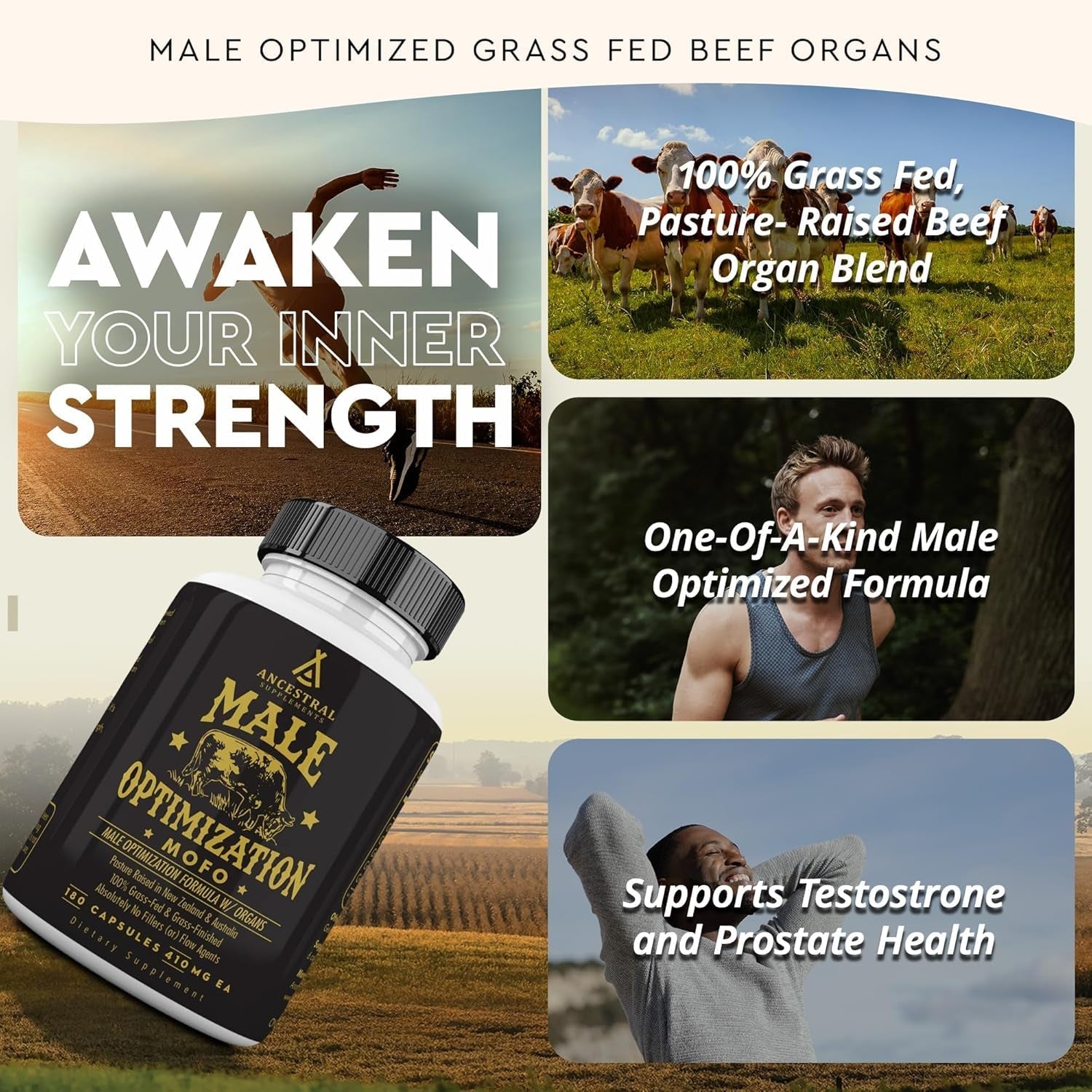Ancestral Supplements Mofo, Supplements for Men, Support for Test and Energy Levels and Overall Men'S Health and Wellness 180 Capsules