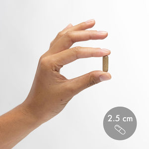 Dr. Mercola Fermented Broccoli Sprouts, Supports Detoxification Processes 30 Servings