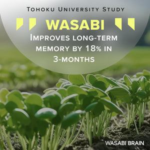 Organic Wasabi Extract + Zingserine Cognition the Most Targeted Memory Supplement (2 Month Supply)