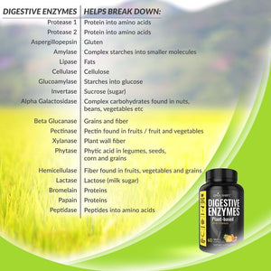Digestive Enzymes - Ultra Digestive Enzymes May Ease Constipation, Bloating & Gas - All Diets - 60 CT