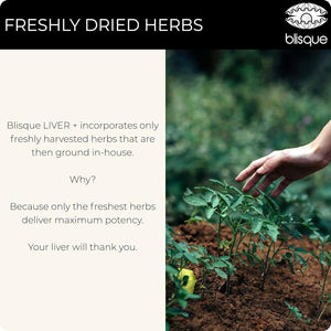 Blisque – Liver Complex Supplement to Detox, Cleanse, and Repair the Liver 90 Capsule Pills.