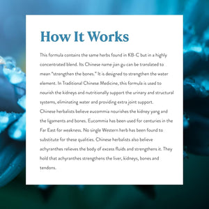 Nature'S Sunshine KB-C, Chinese TCM Concentrate, Strengthens the Urinary System - 30 Capsules