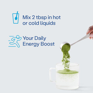 Vital Proteins Matcha Collagen Peptides Powder Supplement, Matcha Green Tea Powder, 10.5 Oz