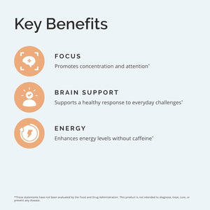 Dr Amen Brainmd Focus & Energy - Mental Endurance Booster, Promotes Concentration & Attention - 30 Servings