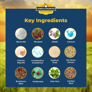 Simple Promise - Consti-Slim - Natural Digestive Health and Wellness Support – Promotes Healthy Enzyme Activity, 60 Capsules