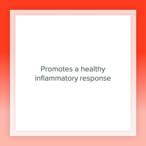 Natural Factors, MSM Joint Formula, Supports Healthy Joints and Mobility, 180 Capsules