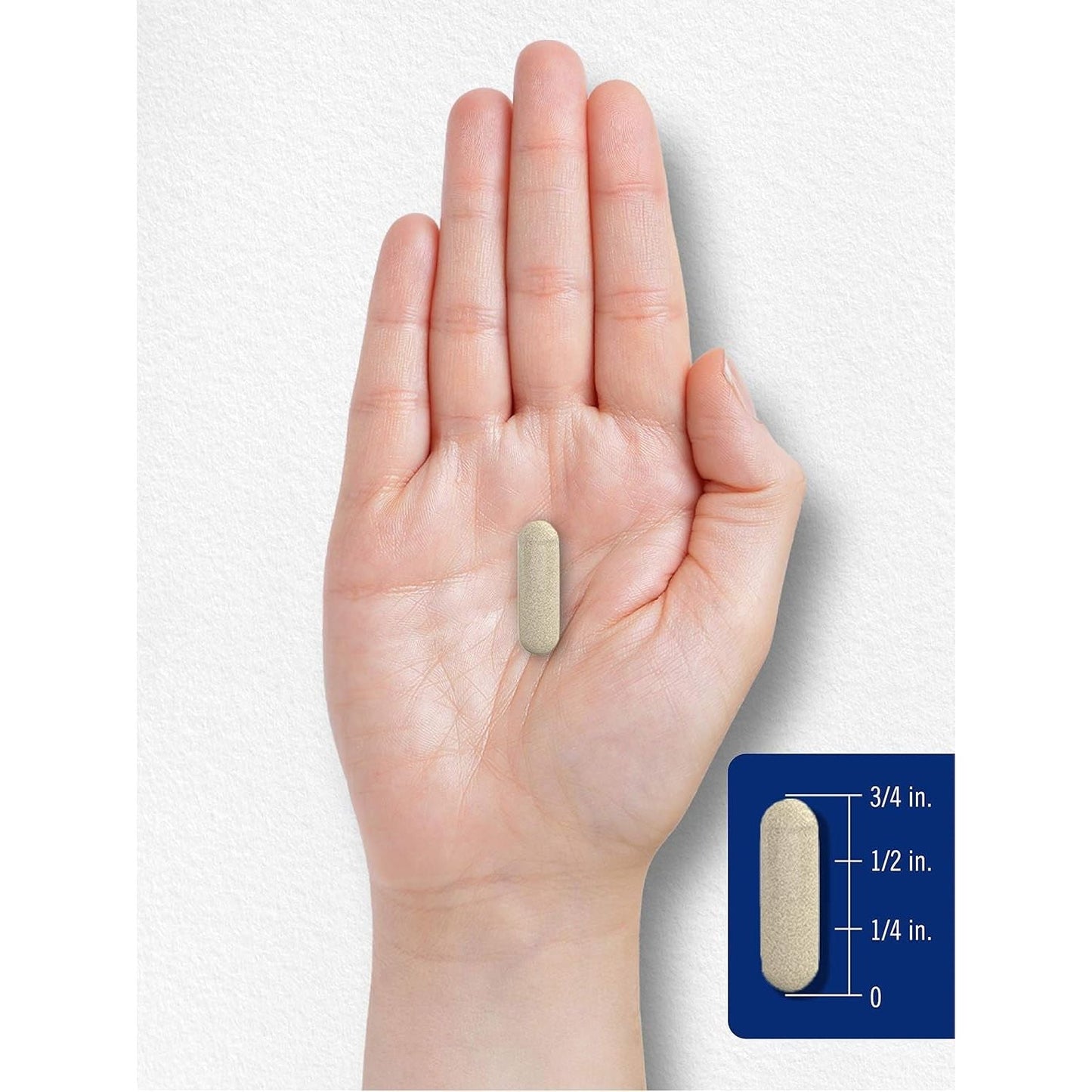 Carlyle Butterbur 150 Mg | Potent Extract | Neurological Support Supplement 180 Capsules