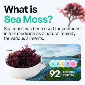 Organic Irish Sea Moss Pills - Seamoss Blend with Turmeric, Burdock Root & Bladderwrack, Enhanced with Black Pepper - 60 Capsules