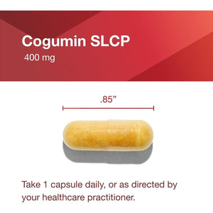 PROTOCOL for LIFE BALANCE Cogumin SLCP 400Mg Curcumin - Cognitive Support Supplement 50 Capsules