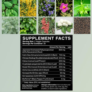 Tick Immune Support Supplement - Improved Formula - 90 Vegan Capsules, Made in the USA